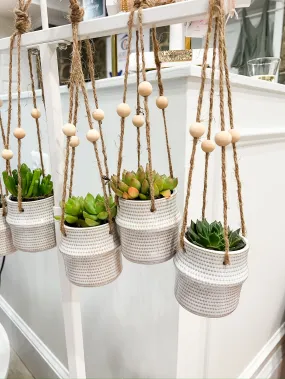 Hanging Plant Holder