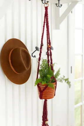 Macrame Plant Hanger